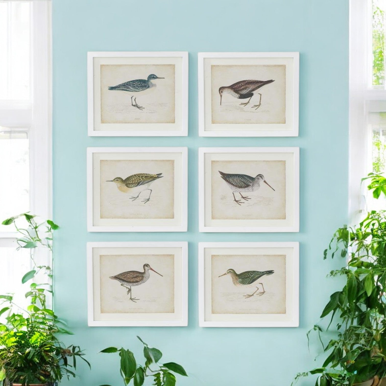 Coastal Bird Print in White Wood Frame - 18-in – Mellow Monkey