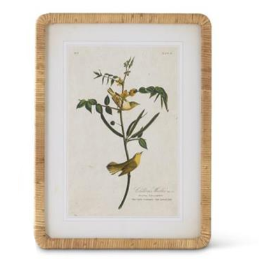 Rattan Framed Bird Print - 23-1/4-in - Mellow Monkey