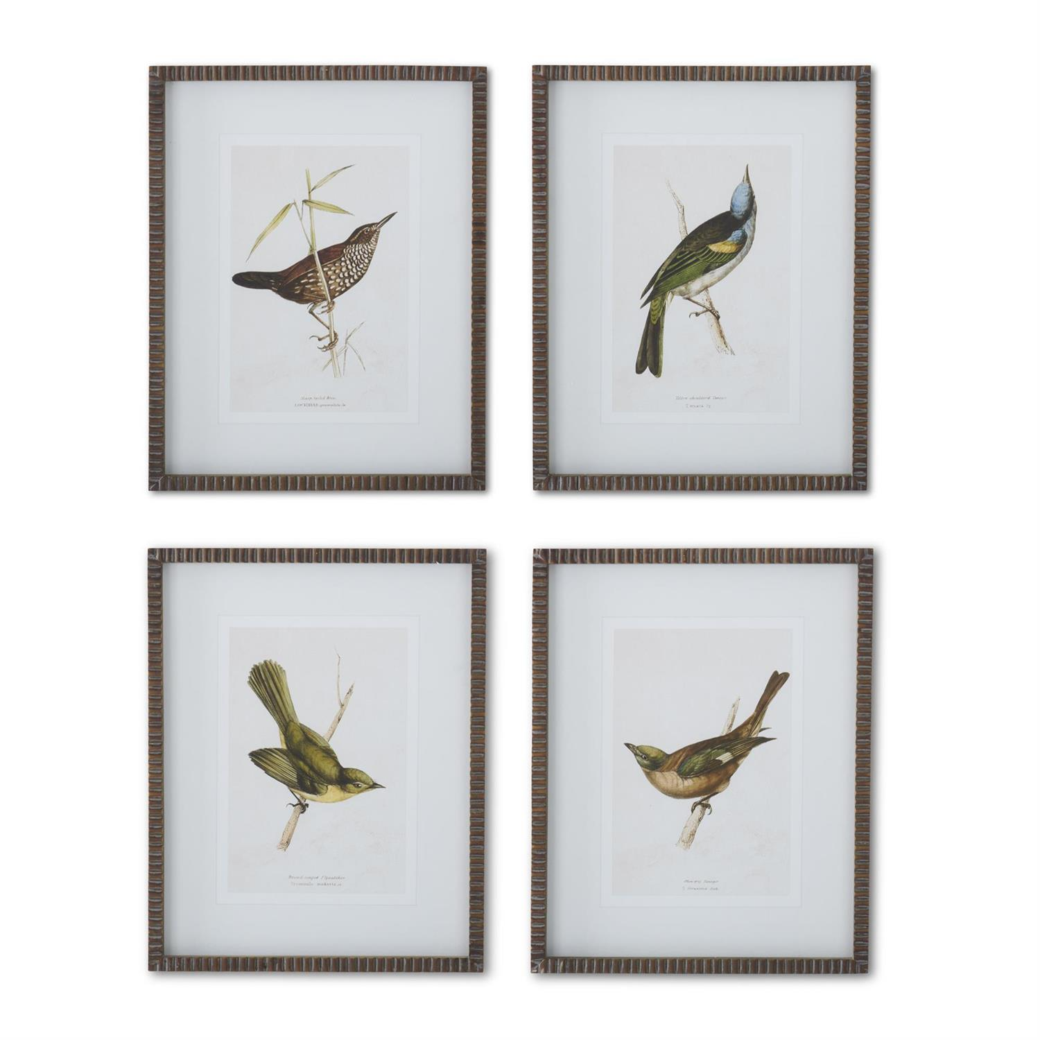 Ribbed Brown Wood Framed Bird Print - 19-3/4-in - Mellow Monkey