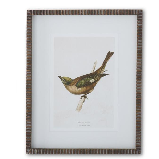 Ribbed Brown Wood Framed Bird Print - 19-3/4-in - Mellow Monkey