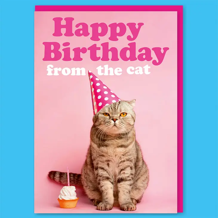 happy birthday cute cat meme