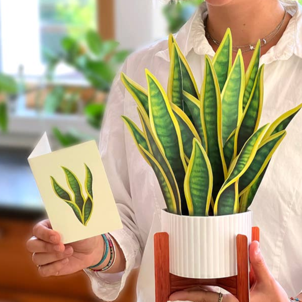 Freshcut Snake Plant Pop-Up Greeting Card