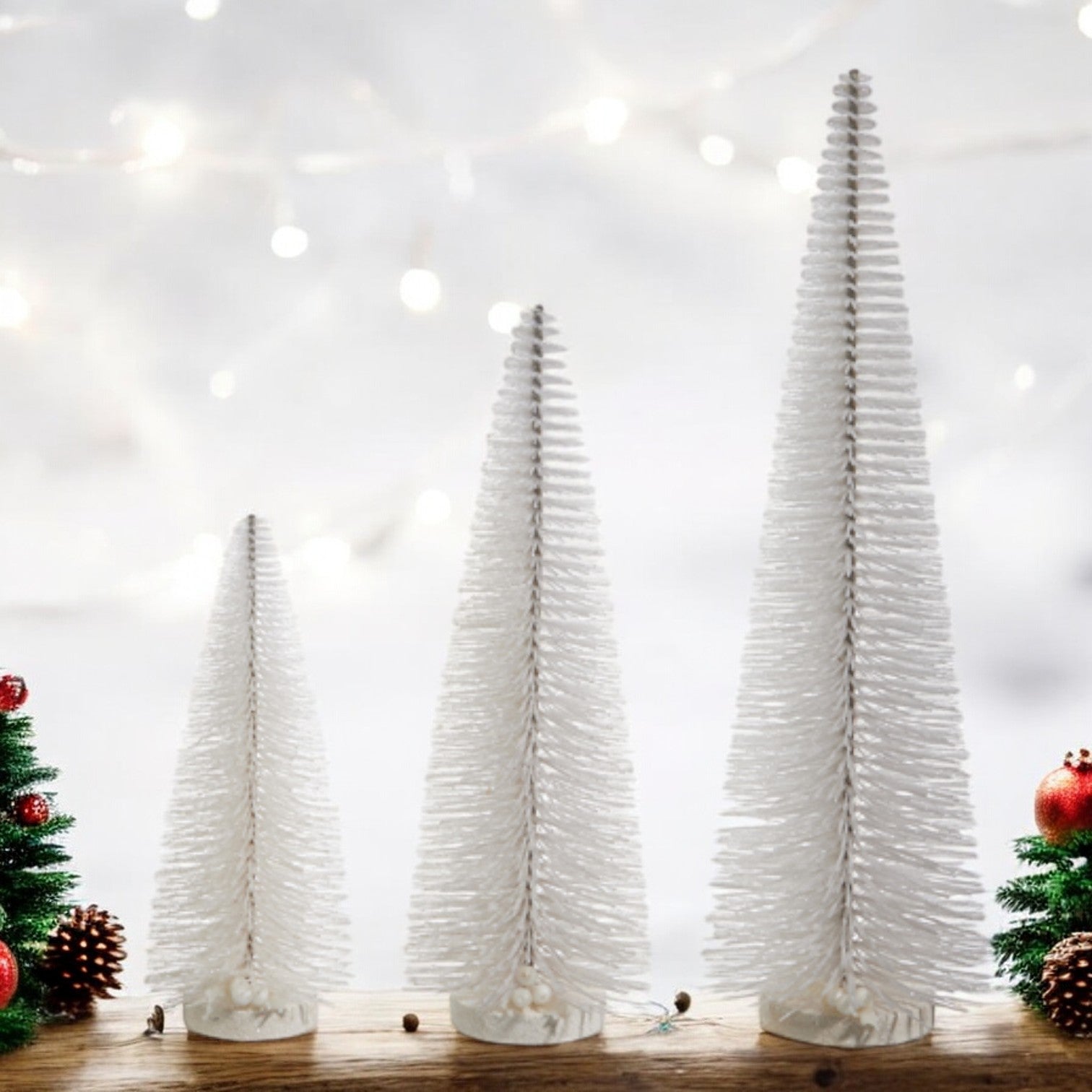 White Bottle Brush Tree – Mellow Monkey