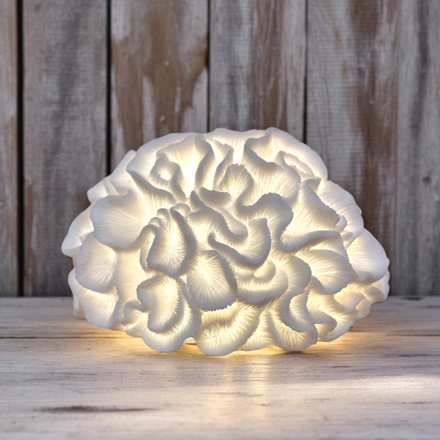 Illuminated Coral Lamp - 11-3/4-in Bate;a D1303 – Mellow Monkey