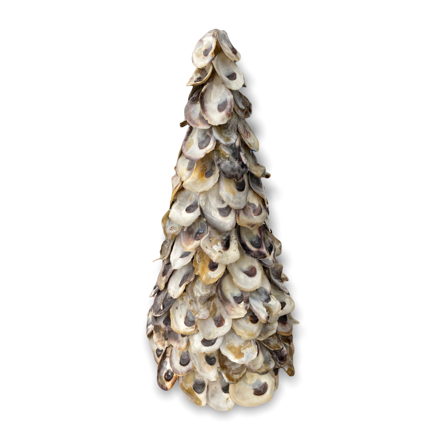 Oyster Shell Christmas Tree, The 12 Days of Christmas - Trees! 12-part  Series