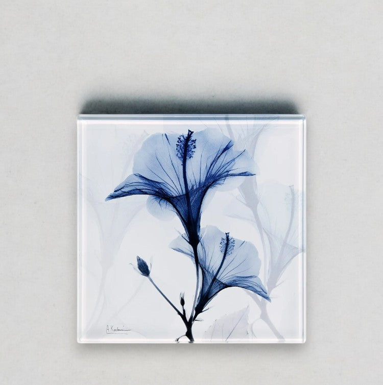 Two Blue Flowers - X-Ray Floral Art Coaster by Albert Koetsier