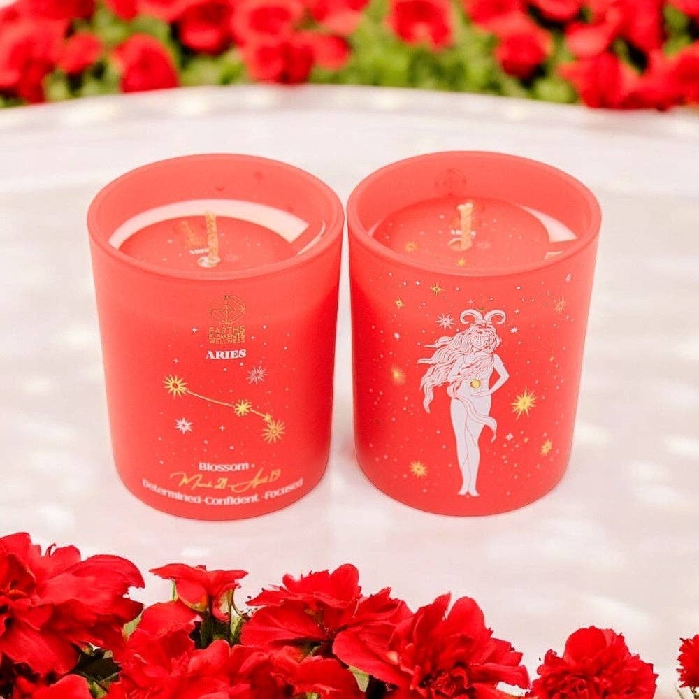 Aries - Zodiac Hand Poured Candle – Mellow Monkey