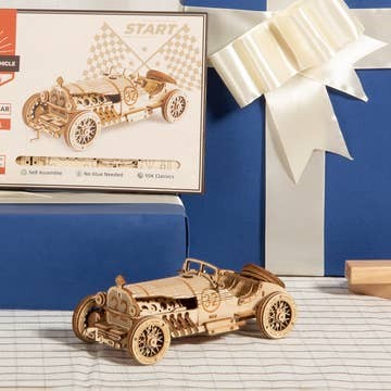 3D Laser Cut Wooden Puzzle - Grand Prix Car – Mellow Monkey