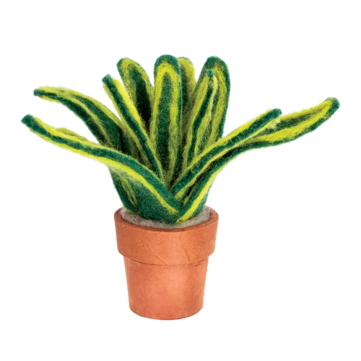 is snake plant cactus dZi Handmade- Small Snake Plant
