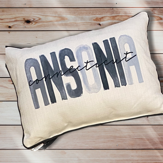 Ansonia Connecticut Throw Pillow with Gray Piping - 19-in - Mellow Monkey
