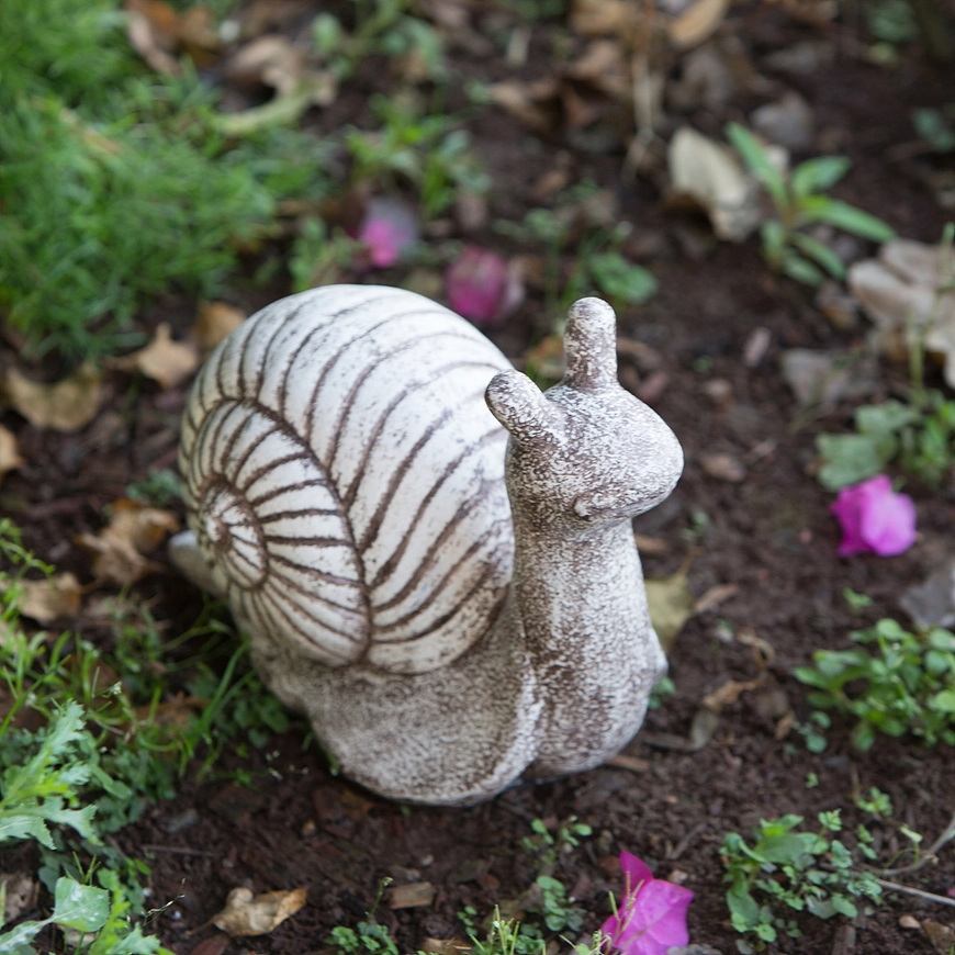 Garden Snail - Mellow Monkey