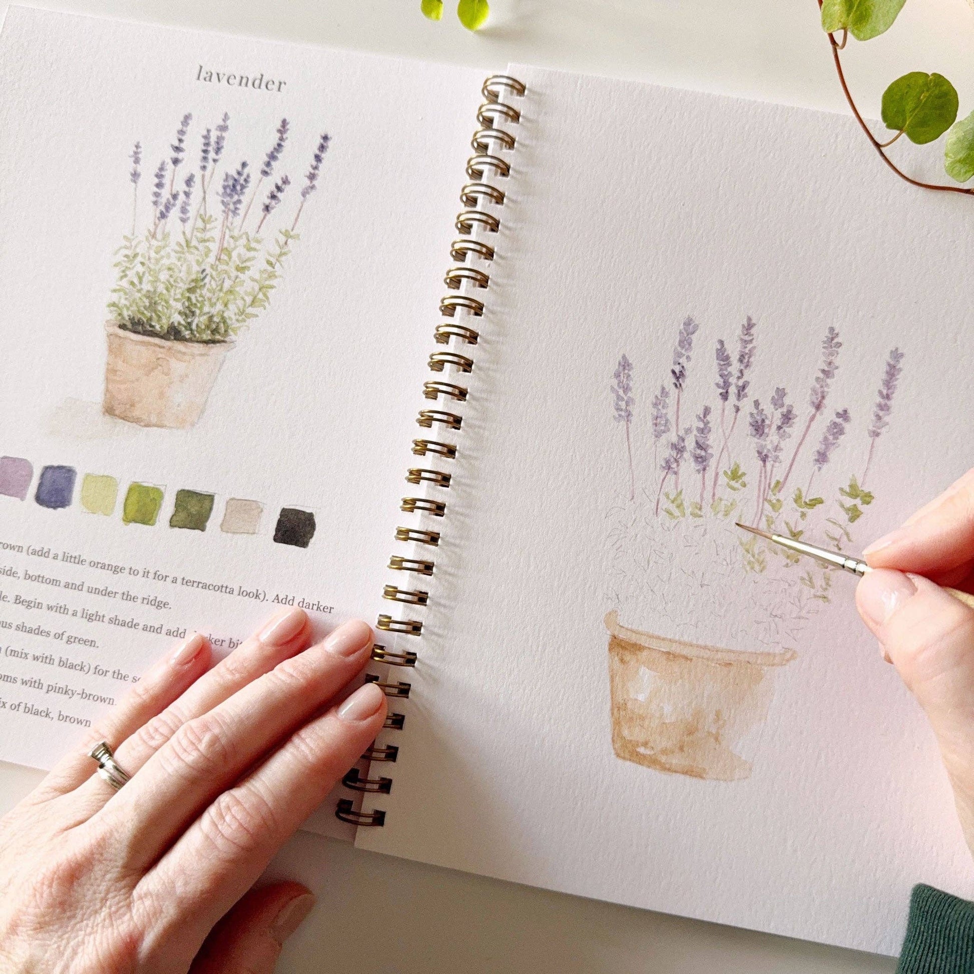 Garden Watercolor Workbook - Mellow Monkey