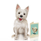 Westie - Freshcut Pop-Up Pet Greeting Cards - Mellow Monkey