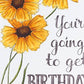 You're Going to Get Birthday Sex Card - Mellow Monkey
