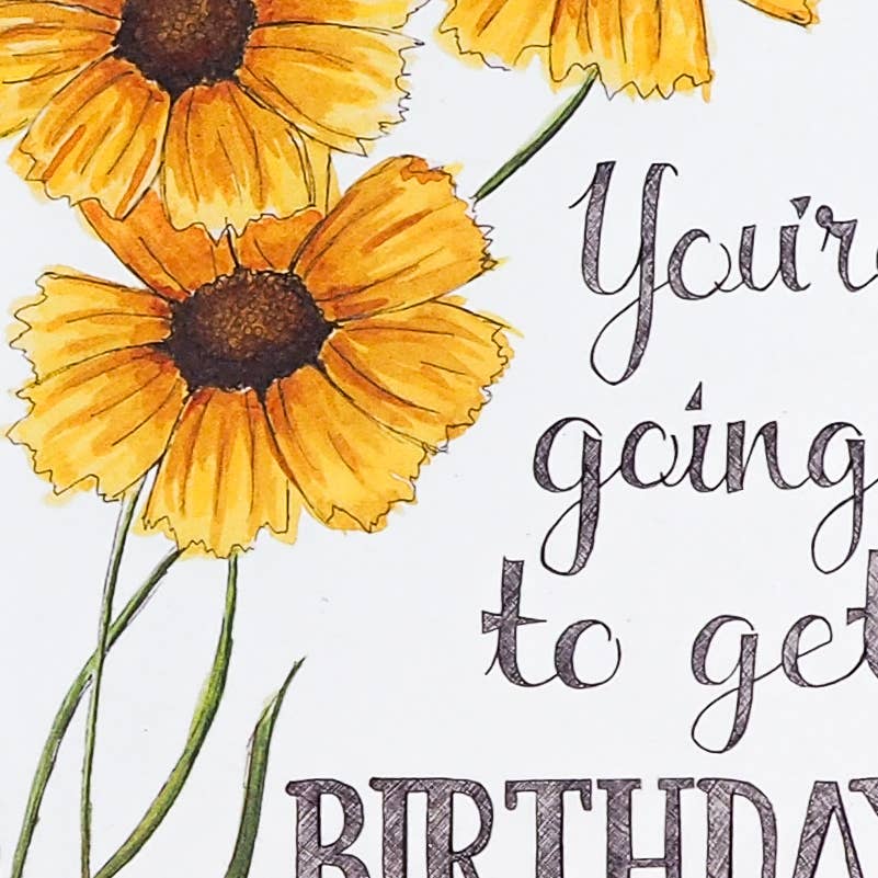 You're Going to Get Birthday Sex Card - Mellow Monkey