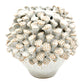 Lotus Pollens - Porcelain Ceramic Vase - White with Brown Accents - 5 x 5 x 4.8 in - Mellow Monkey