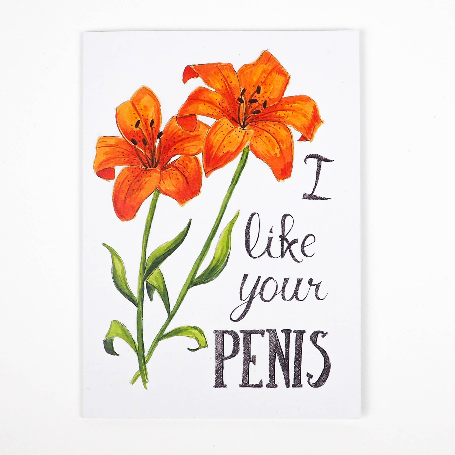 I Like Your Penis Card - Mellow Monkey