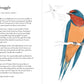 A Dumb Birds Field Guide to the Worst Birds Ever - Paperback - Matt Kracht - Mellow Monkey