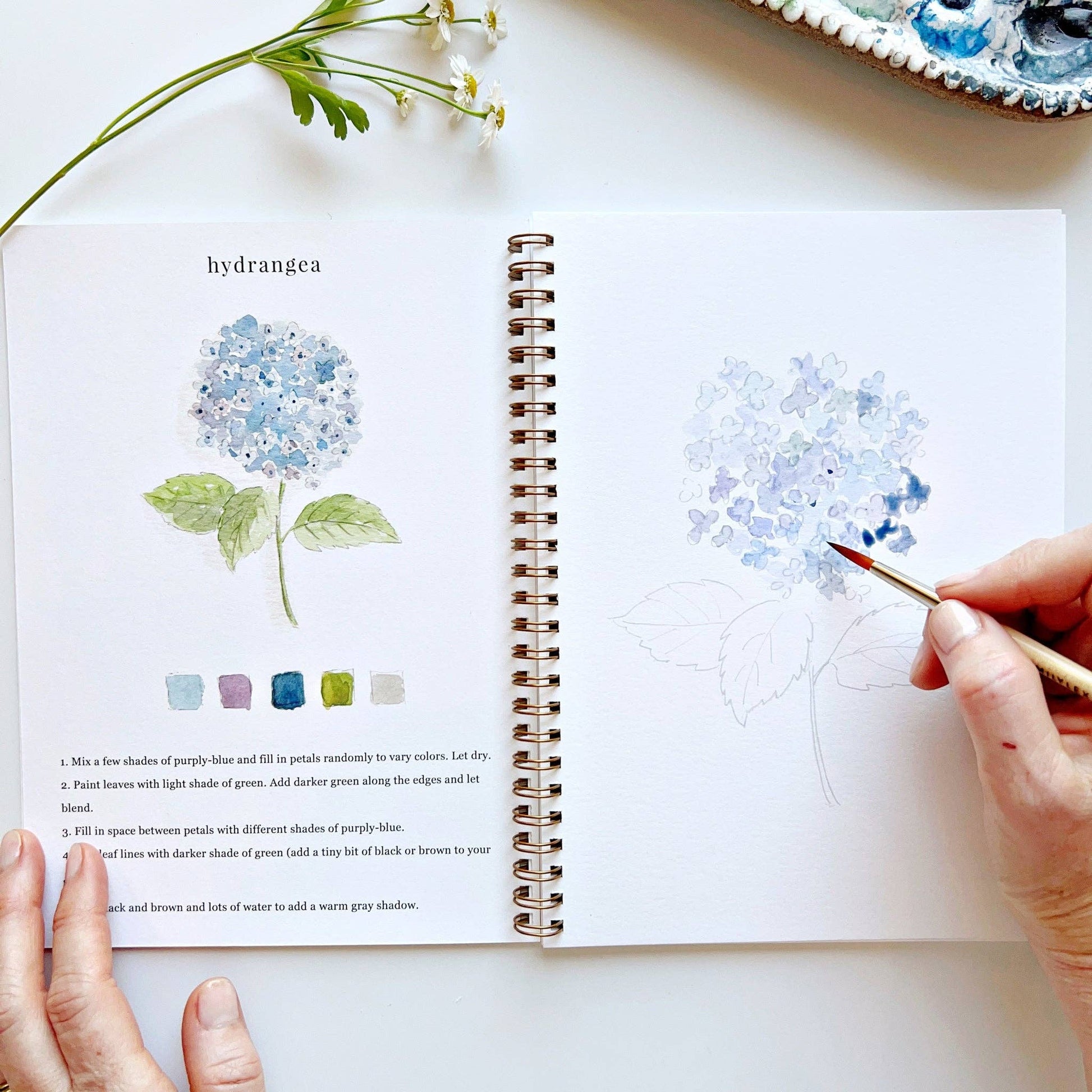 Flowers - Watercolor Workbook With Watercolor Paint Set and Brush - Mellow Monkey