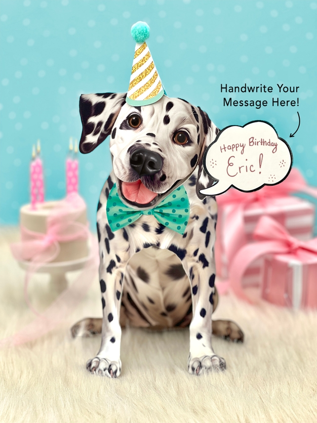 Dalmatian - Freshcut Pop-Up Pet Greeting Cards - Mellow Monkey