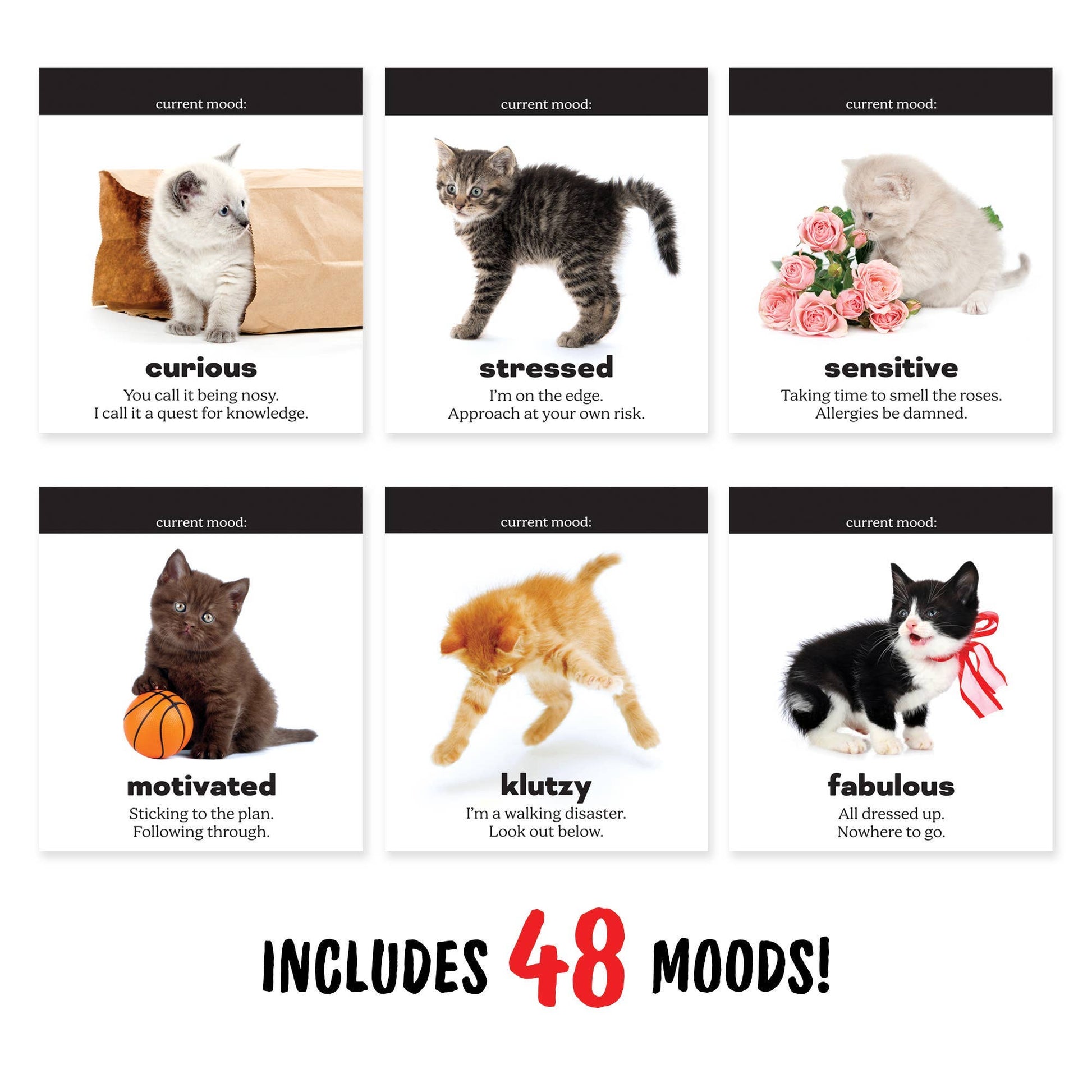 Daily Cattitudes - Desk Flipchart - Mellow Monkey