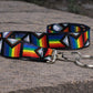 Daniel Quasar Flag Stripe Lanyard