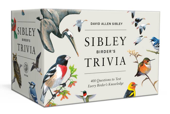 Sibley Birder's Trivia - Mellow Monkey