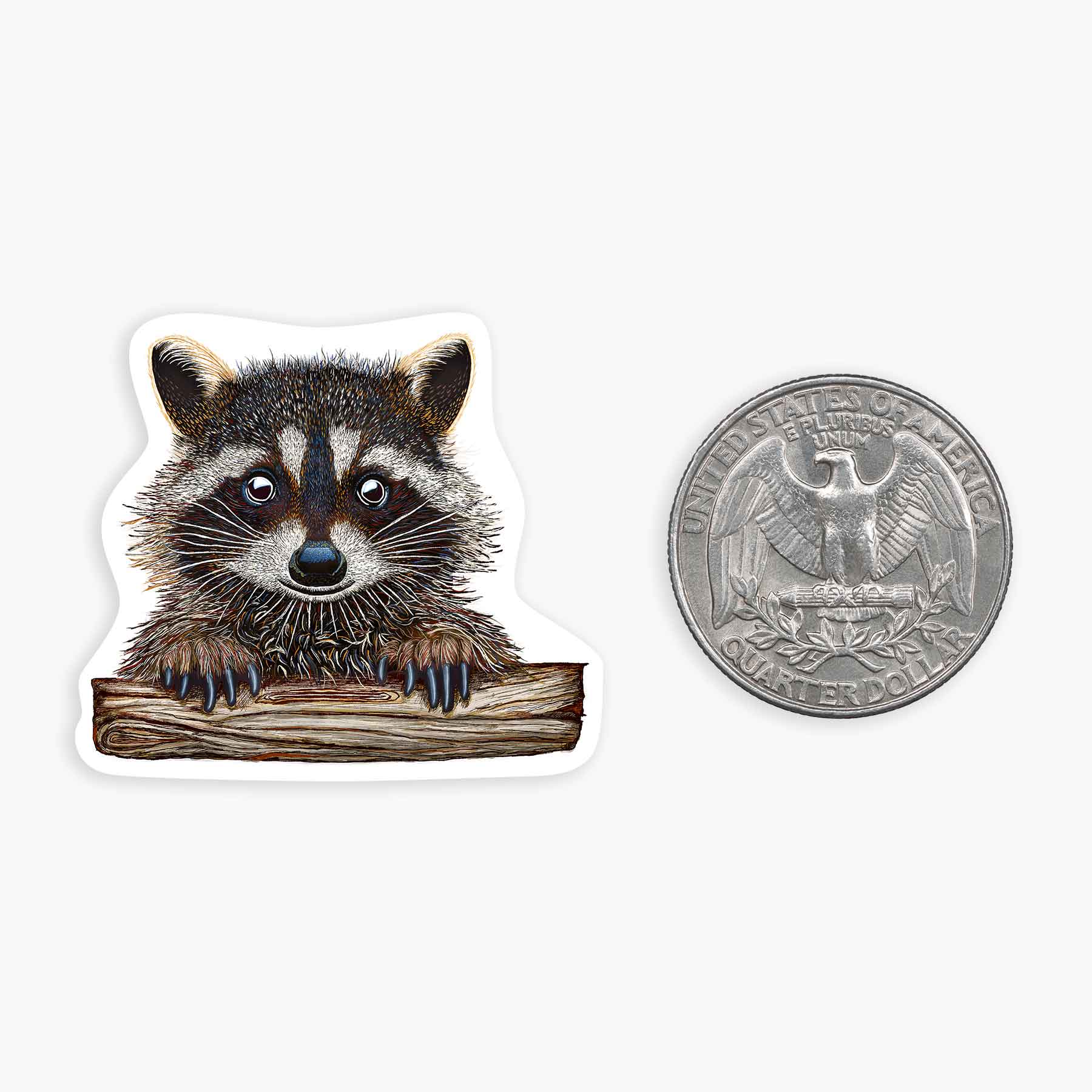 Rocky Raccoon - Mini Sticker #12 - Mellow Monkey