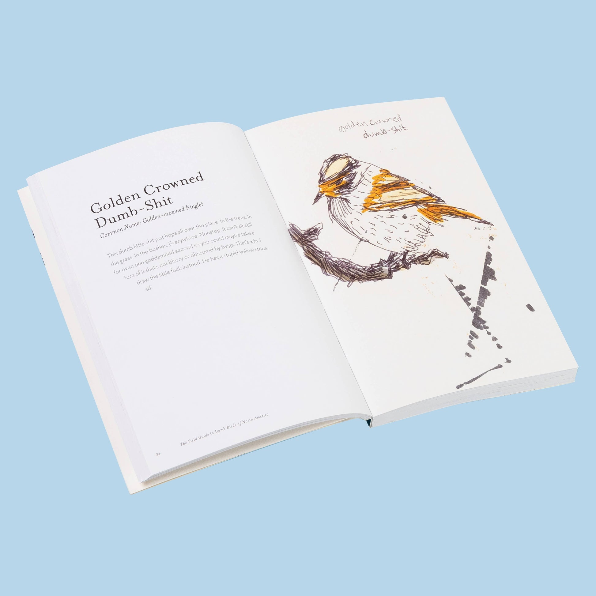 The Field Guide to Dumb Birds of North America - Paperback - Matt Kracht - Mellow Monkey