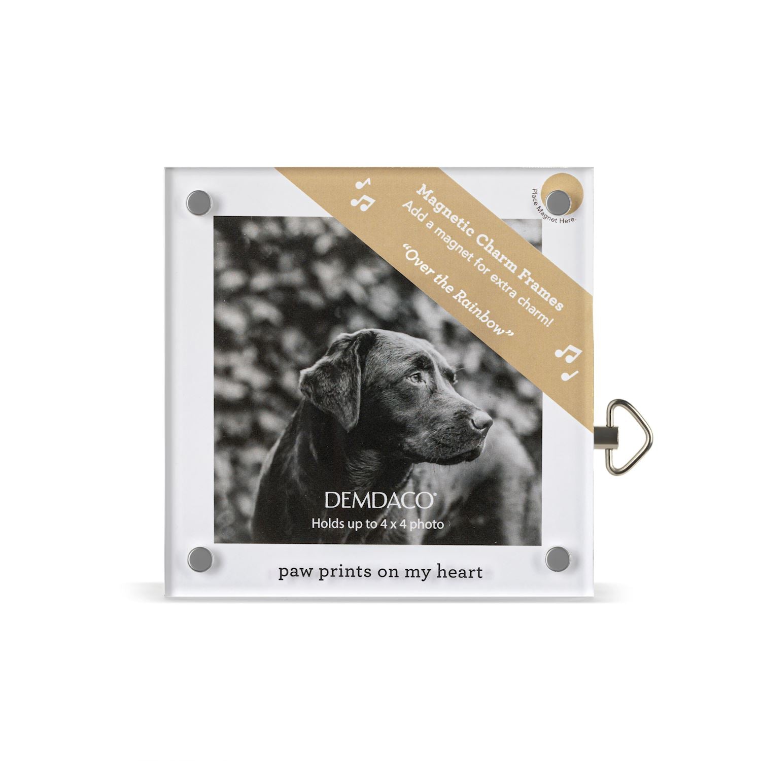 Paw Prints Acrylic Musical Frame - 4-in - Mellow Monkey