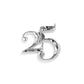 25th Anniversary Magnetic Frame Charm - 1-1/2-in - Mellow Monkey