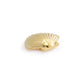 Scallop Shell Magnetic Frame Charm - 1-1/2-in - Mellow Monkey