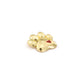 Paw Print Magnetic Frame Charm - 1-in - Mellow Monkey