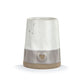 Gratitude Picked With Love Vase - 3-in - Mellow Monkey