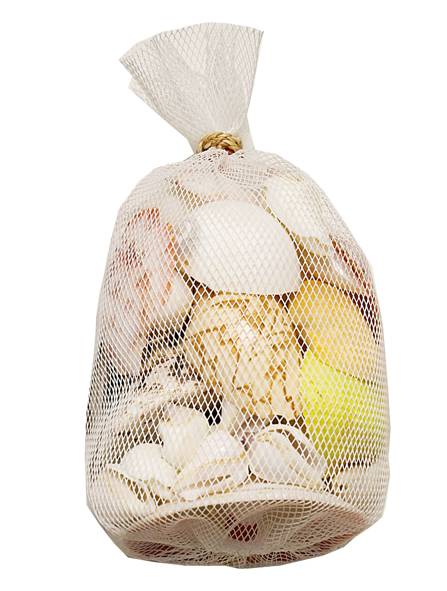 Asst Polished Shells in White Plastic Net - 7-in - Mellow Monkey