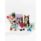 Calico Cat - Freshcut Pop-Up Pet Greeting Cards - Mellow Monkey