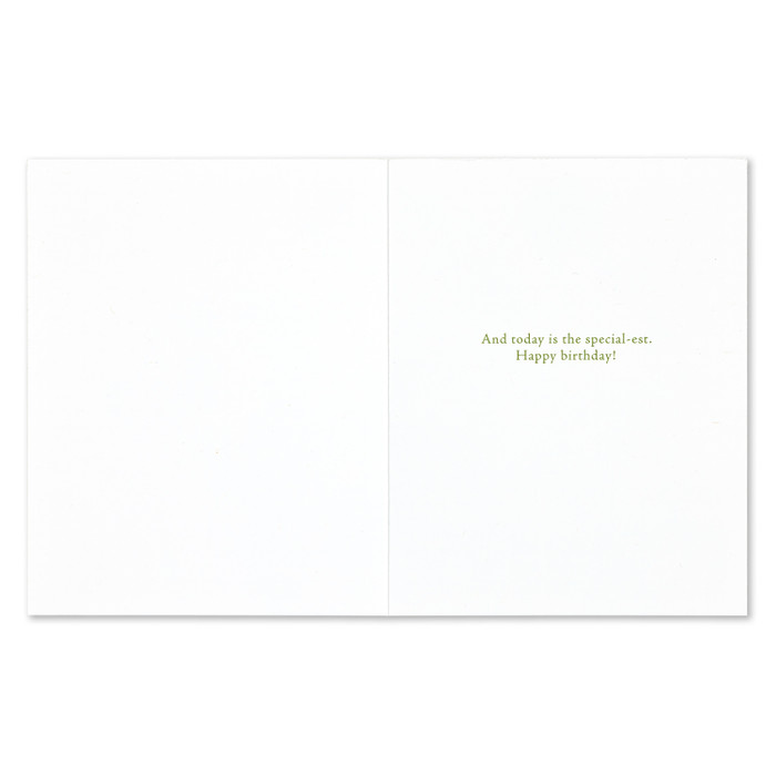 Every Day… Ought To Be Special. But Some Days Are More Special- Birthday Greeting Card - Mellow Monkey
