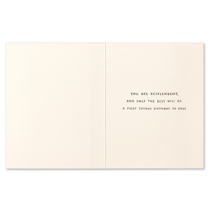 Love Muchly Greeting Card - Birthday - Sorry If I Overdressed - Mellow Monkey