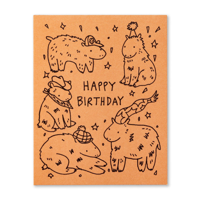 Humor Us Greeting Card - Birthday - Happy Birthday! - Mellow Monkey