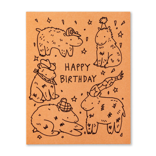 Humor Us Greeting Card - Birthday - Happy Birthday! - Mellow Monkey