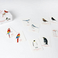 Match a Pair of Birds - A Memory Game - Mellow Monkey