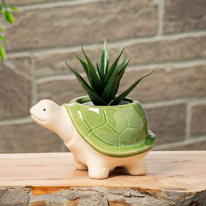Sm Turtle Planter-Grn-3.5"H - Mellow Monkey