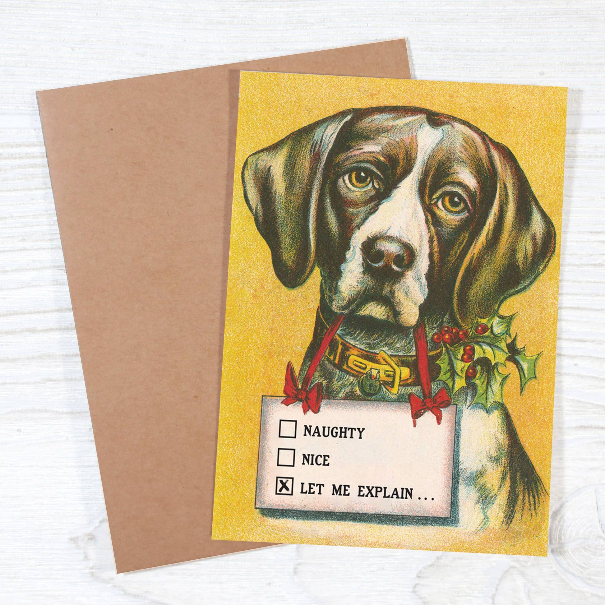 Naughty • Nice • Let Me Explain - Dog Lover's Christmas Card - Mellow Monkey