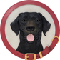 Black Lab- Stepping Stone and Wall Plaque - Mellow Monkey