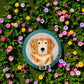 Golden Retriever - Stepping Stone and Wall Plaque - Mellow Monkey