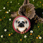 Pug - Stepping Stone and Wall Plaque - Mellow Monkey