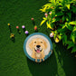 Yellow Lab- Stepping Stone and Wall Plaque - Mellow Monkey