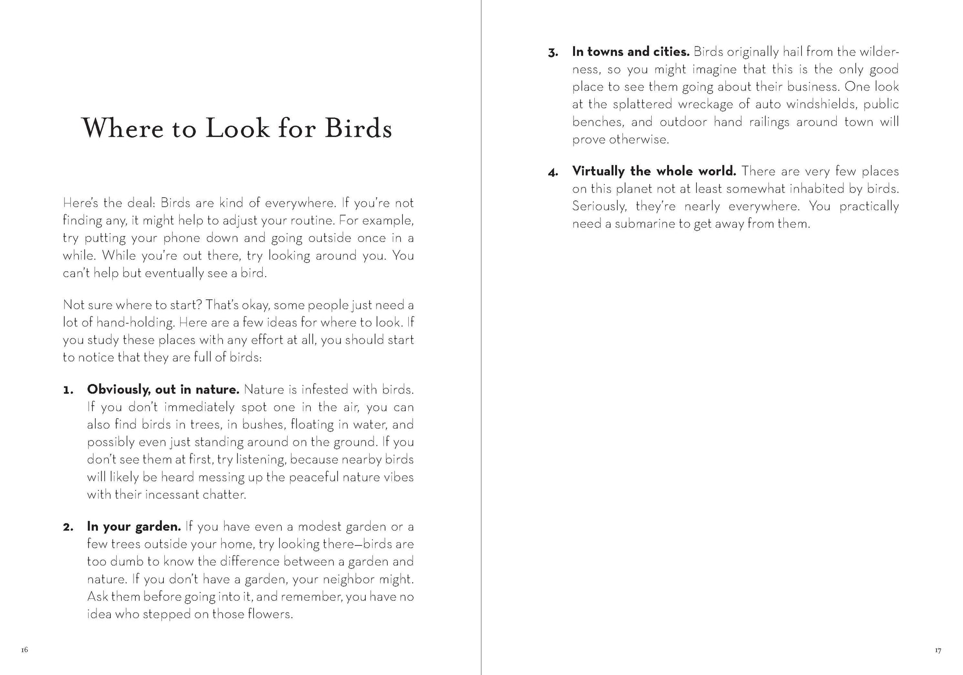A Dumb Birds Field Guide to the Worst Birds Ever - Paperback - Matt Kracht - Mellow Monkey