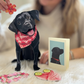 Black Lab - Freshcut Pop-Up Pet Greeting Cards - Mellow Monkey