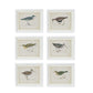 Coastal Bird Print in White Wood Frame - 18-in - Mellow Monkey